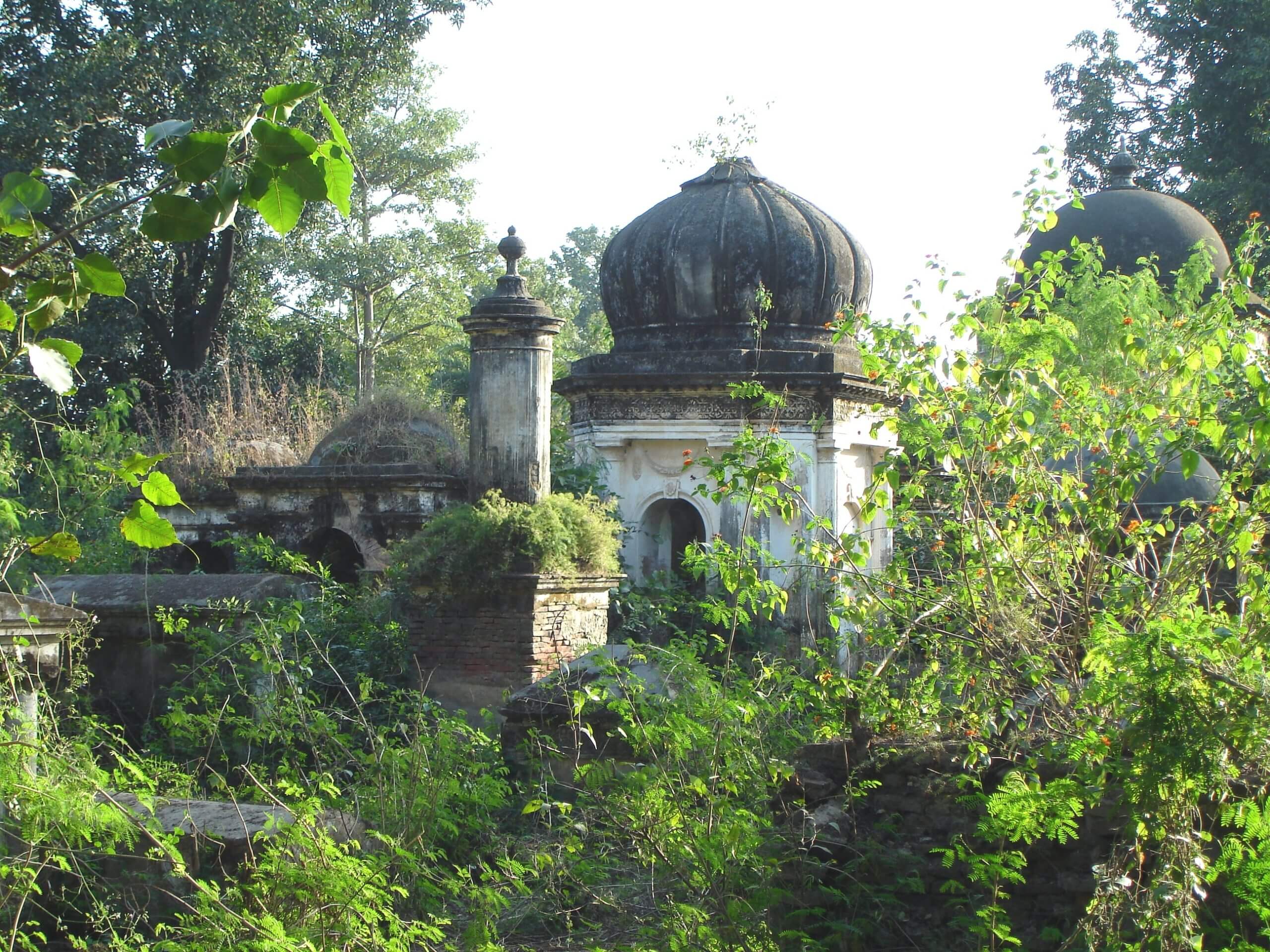 A mausoleum surrounded by jungle at Meerut cantonment cemetery