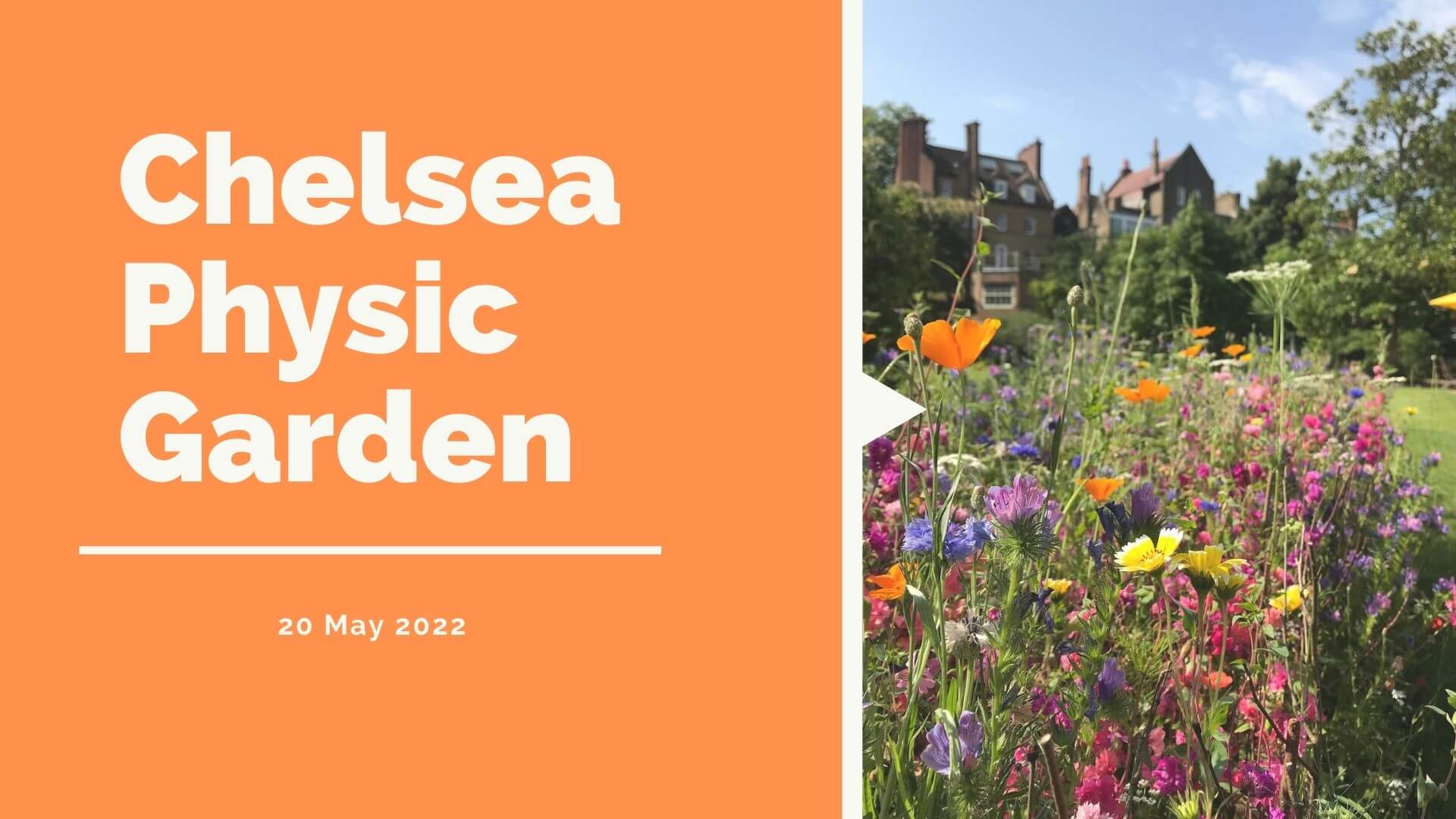 Chelsea Physic Garden